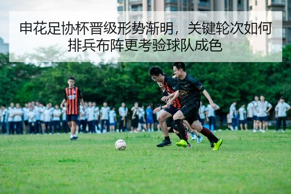 img_1780855761886_63_1_622.jpg